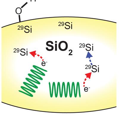 Dynamic Nuclear Polarization Using Radicals Created by γ-Irradiation