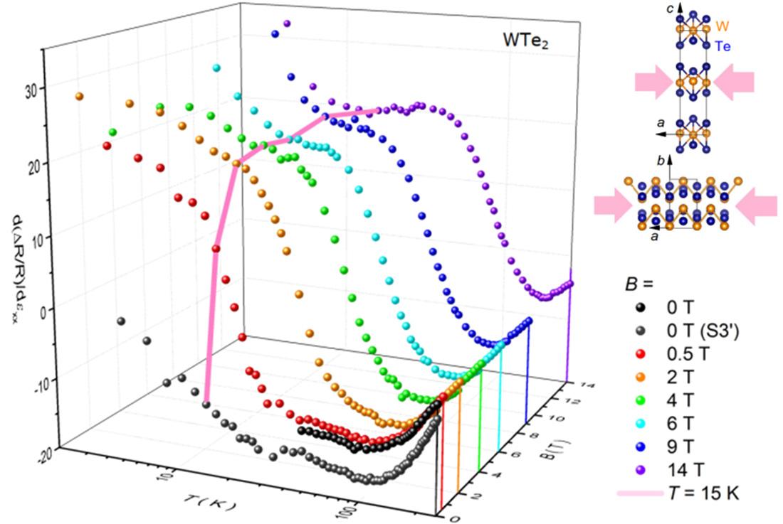 A 3D representation of magnetoelastoresistance