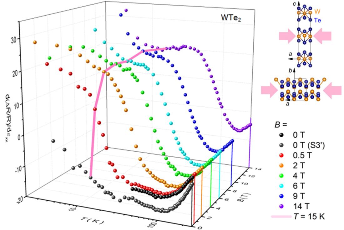 A 3D representation of magnetoelastoresistance 