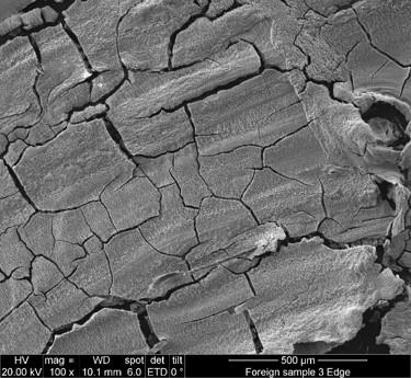 Scanning electron microscopy image of Samarium metal