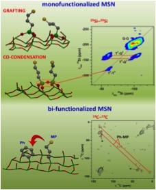 Spatial distribution of molecules/sites on complex amorphous surface