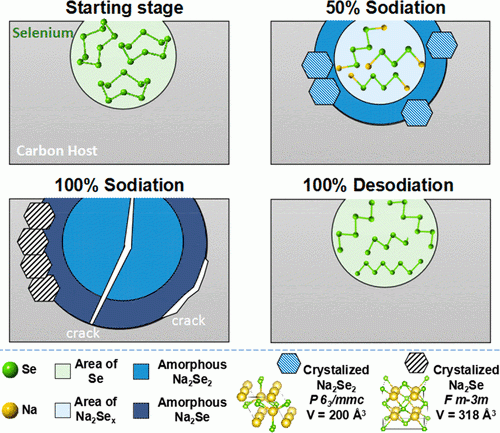 Illustration of sodiation in a selenium battery