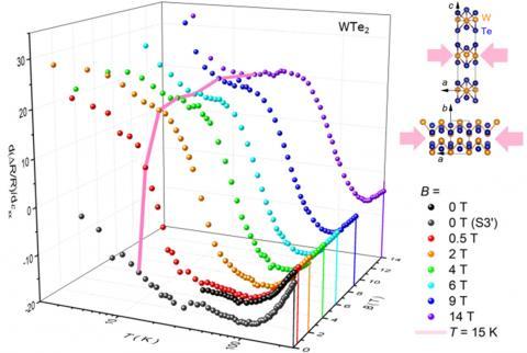 A 3D representation of magnetoelastoresistance 