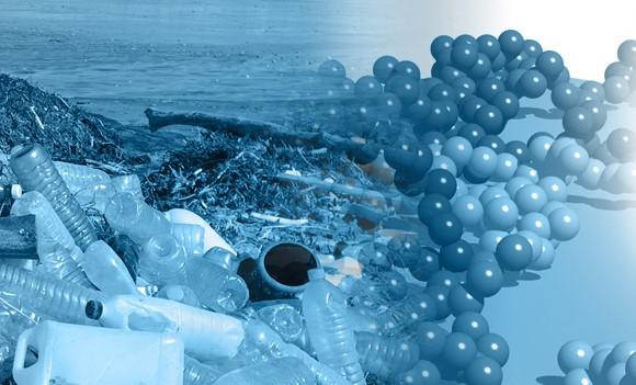 iCOUP home page image_card