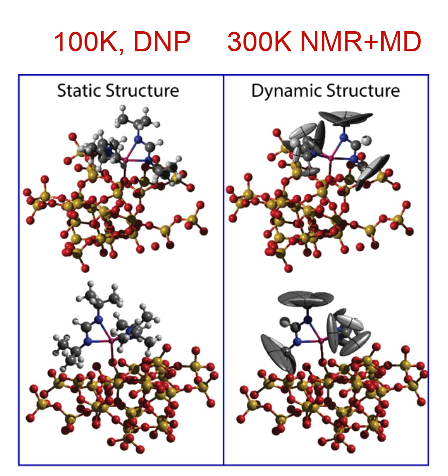 Supported Metal Complexes