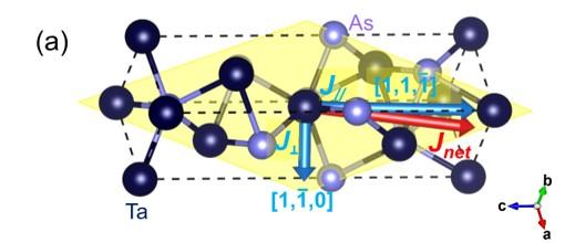 net photocurrent