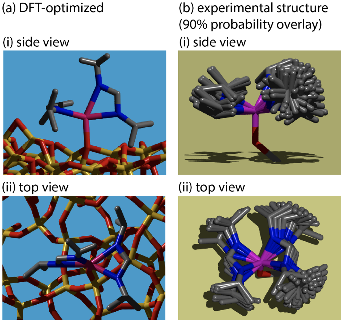 Visual 3D structures of the grafted Sc amidinate complex