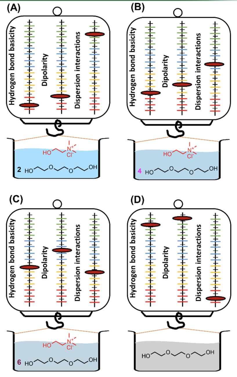 Solvation interactions visual