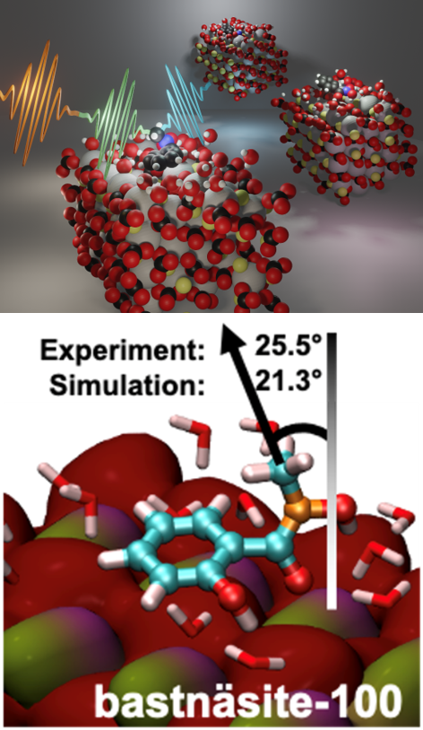images depict three ligands on bastnäsite-[100] with explicit solvation Bottom: Comparison of a ligand’s methyl orientation angle as measured by SFG spectra and predicted by DFT simulation for a studied ligand