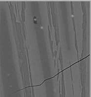 image from scanning electron microscope shows backscatter of a new ferromagnet 