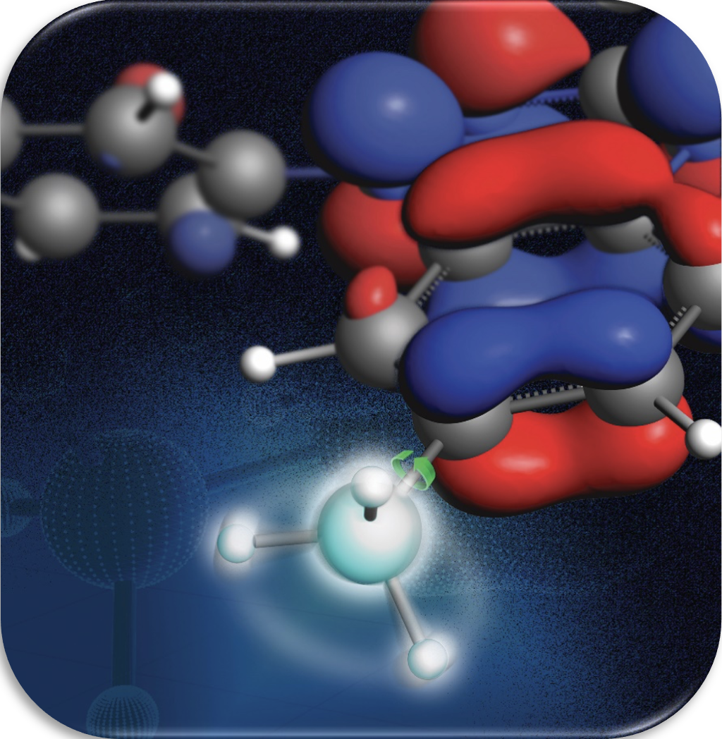 Overhauser effect dynamic nuclear polarization visual