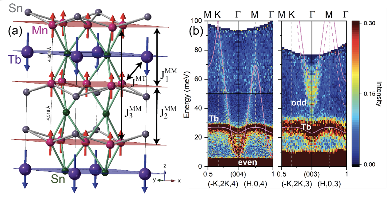 Magnetic topology visuals