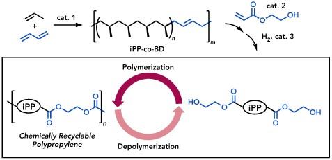 chemically recyclable ester-linked polypropylene 