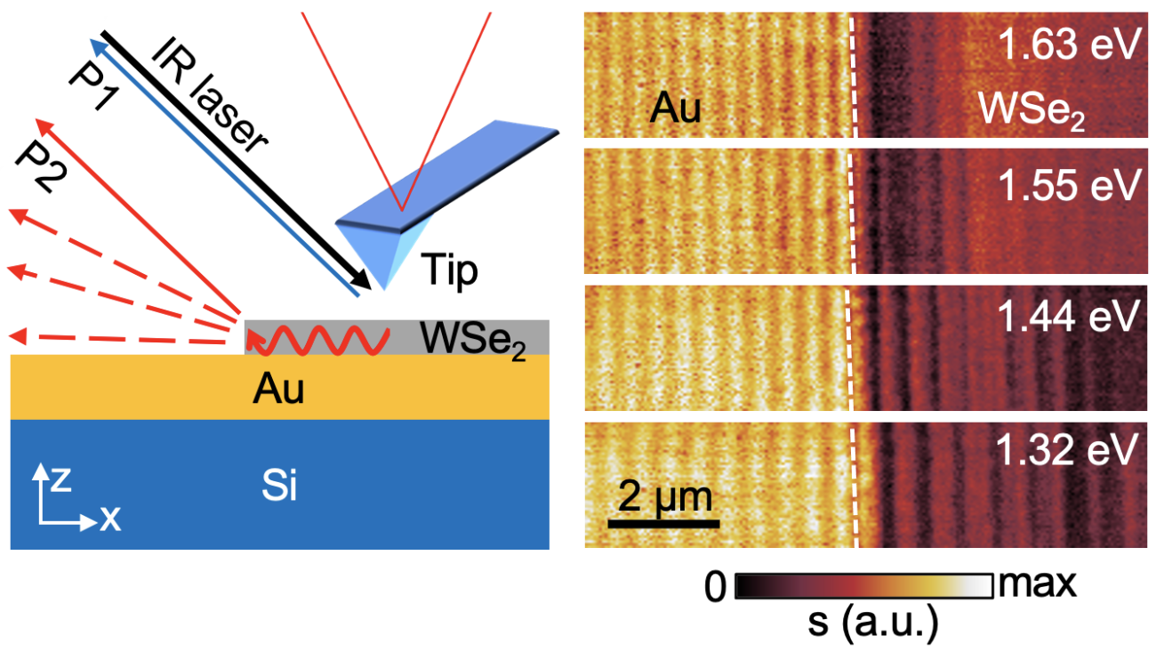 Exciton-plasmon polaritons imaging