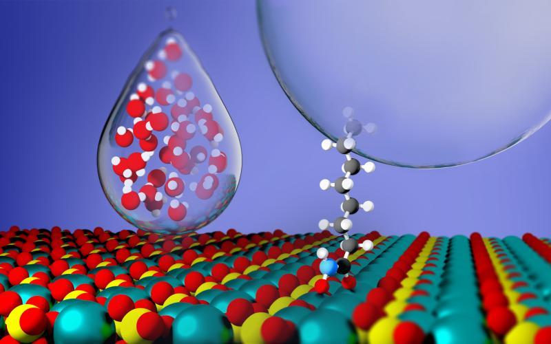 illustration shows flotation collector molecules that can aid in the recovery of critical materials