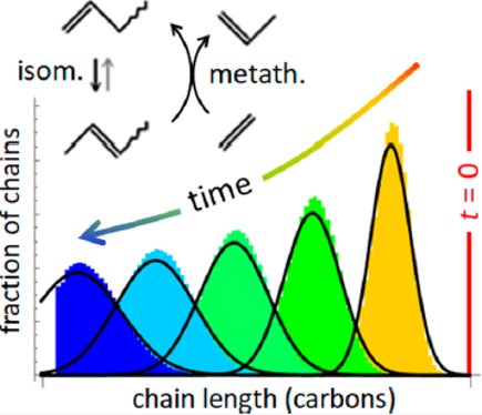 chain length carbons