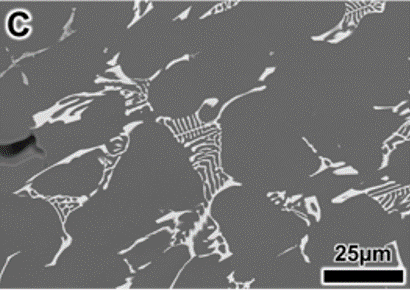 image from backscattered electron micrograph