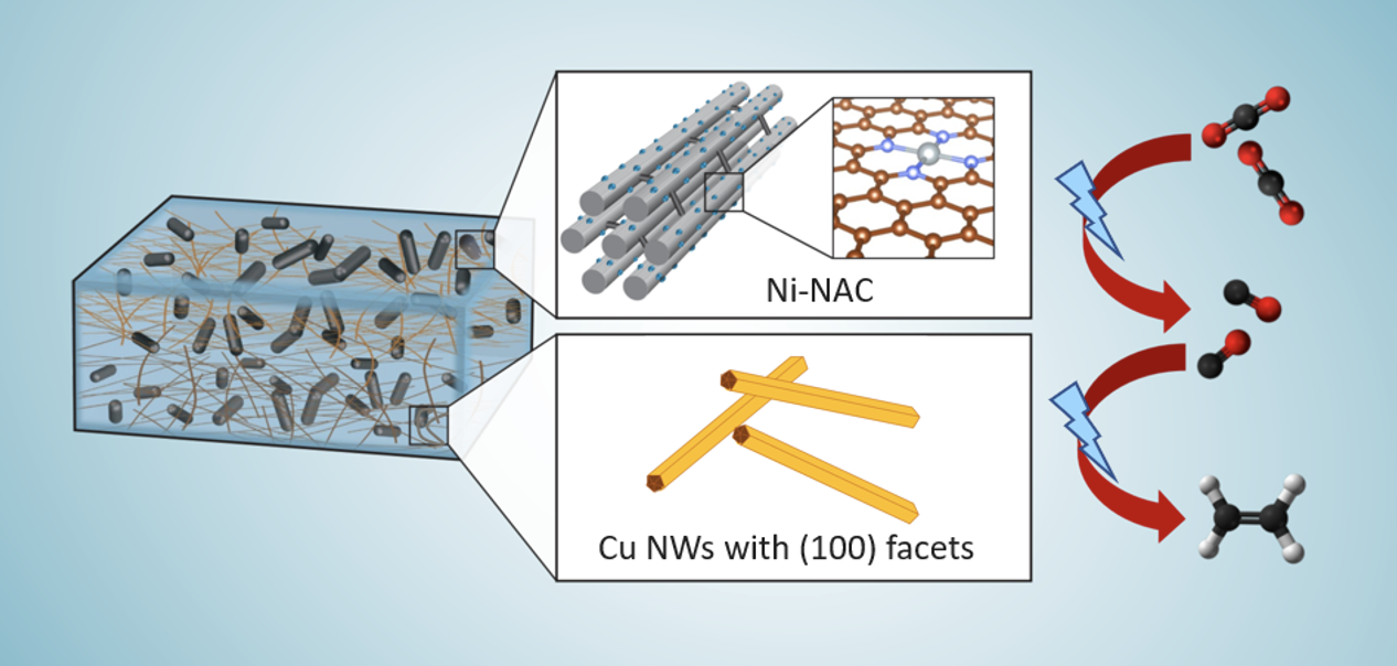 Catalyst Diagram