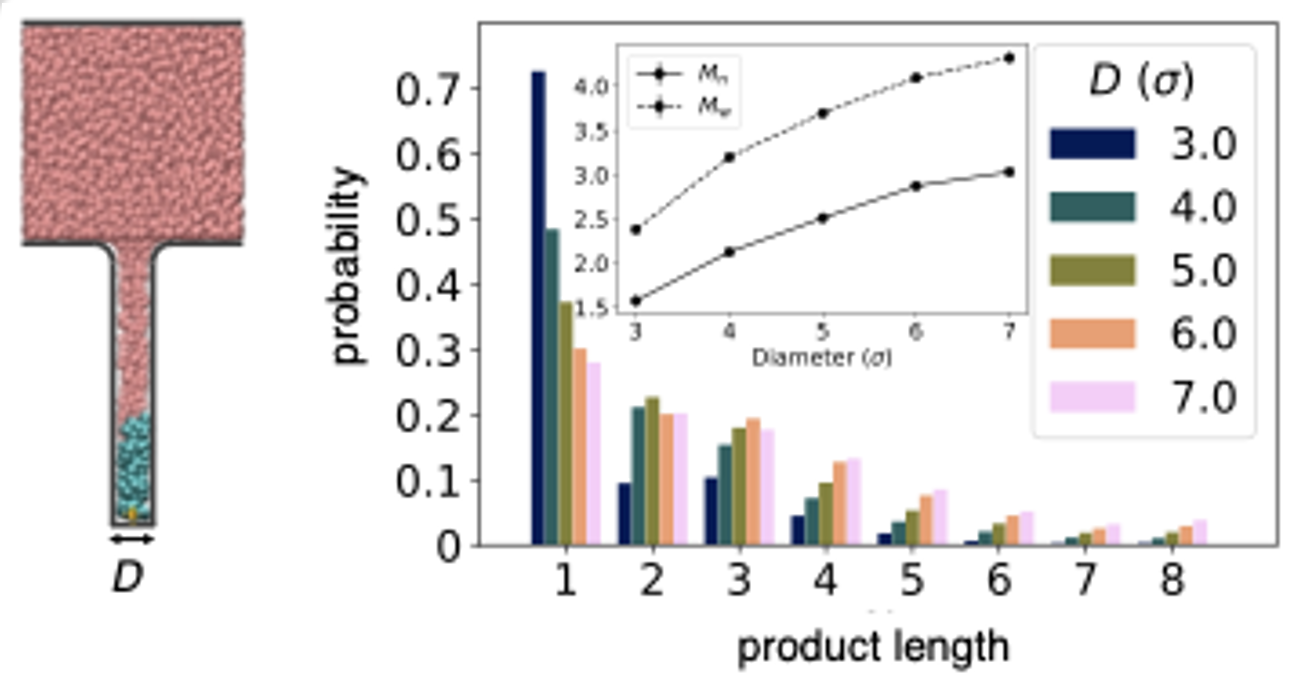 Coarse-grained simulations visuals