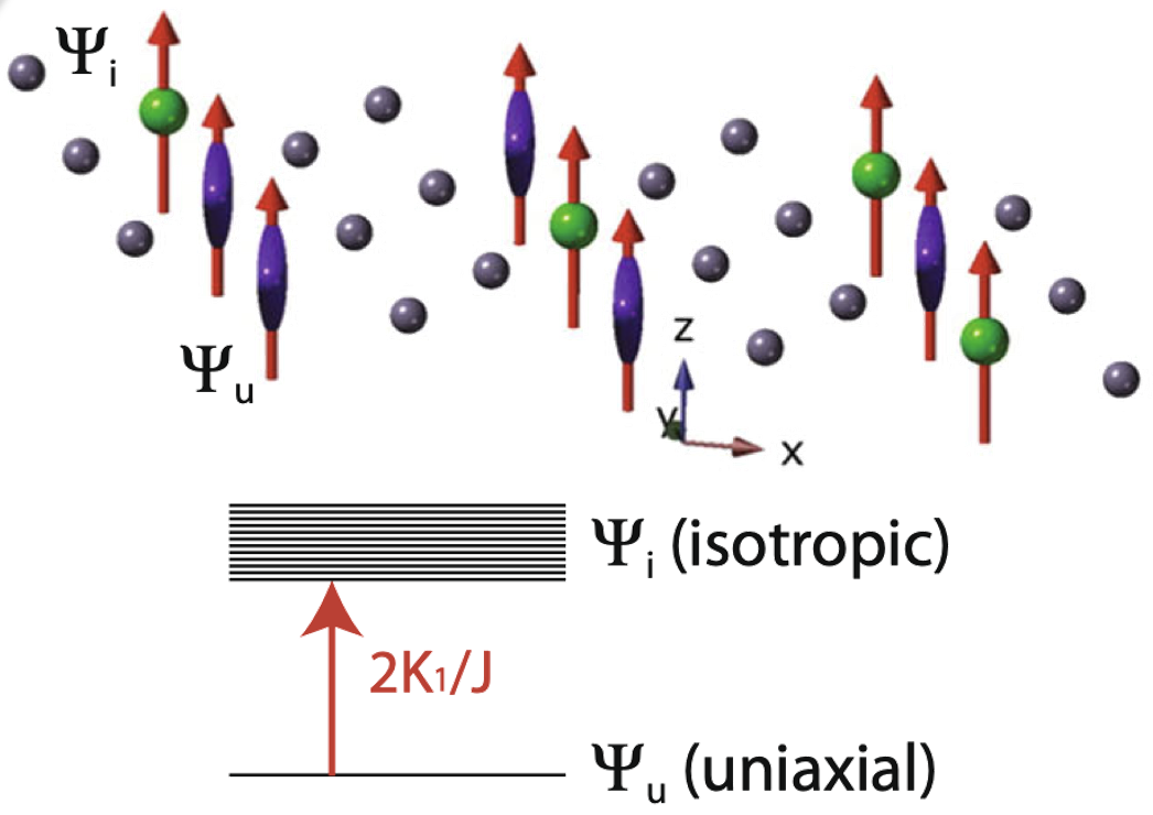 Tb ions in a triangular layer of TbMn6Sn6