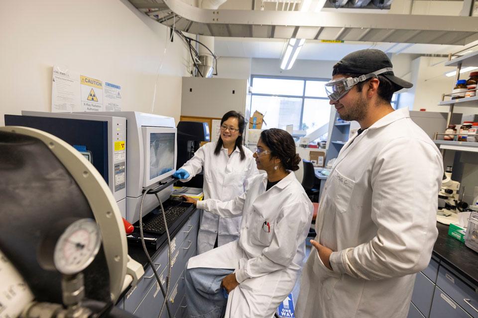 Yangyang Liu with Cal State LA chemistry students in her lab.