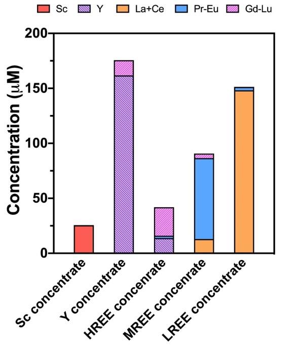 bar graph shows Lanmodulin protein-based process for Sc, Y, and grouped lanthanide separation from a simulated allanite leachate (pH 3). Plot depicts the composition of Sc, Y, HREE, MREE, and La+Ce fractions.