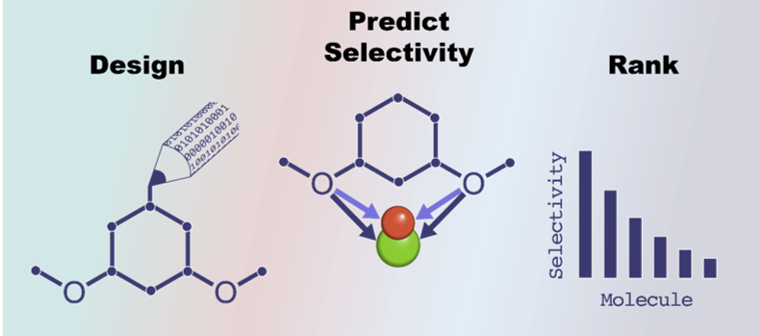 composite image: Computer-aided design software that predicts selectivity using a machine learning model and then ranks them based on selectivity is now available on GitHub.