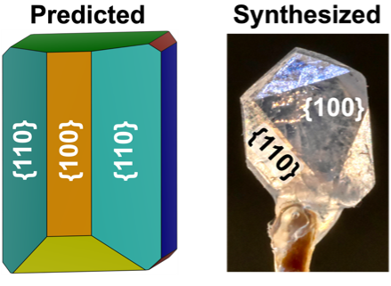 Comparison of the predominant facets for a predicted and synthesized lanthanum-monazite particle.