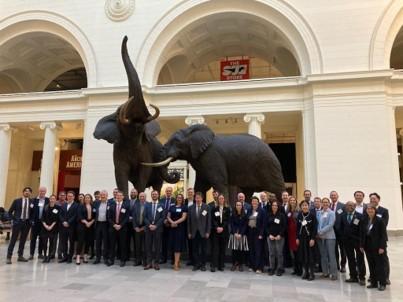 group of people standing by statues of elephants