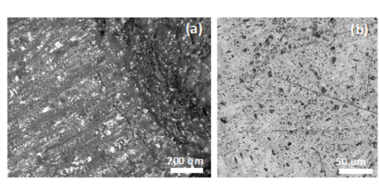 The highest purity Nd by EDS is about 95 at.%, visible in the bright area in Figure (b).