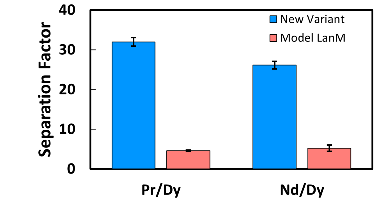 bar graph compares new variant to model lanmodulin