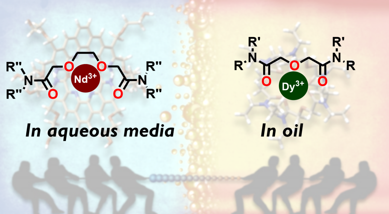 General illustration of the two-ligand REE separation process. DOODA is a neutral tetradentate ligand soluble in aqueous media and DGA is a neutral tridentate ligand soluble in oil phase.  