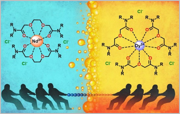 General illustration of the two-ligand REE separation process.