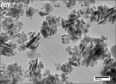 TEM image at 100 nm scale.
