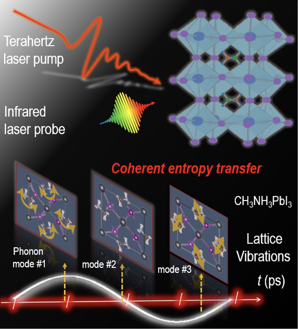 An illustration of a nonlinear entropy-transfer pathway driven by the strong THz-pulse radiation.