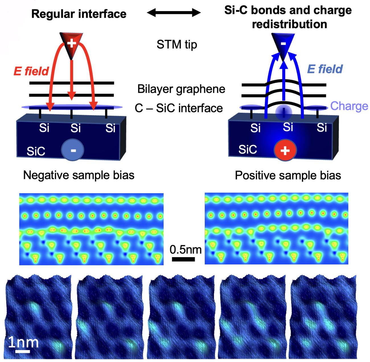 Illustration of research diagrams related to the highlight.