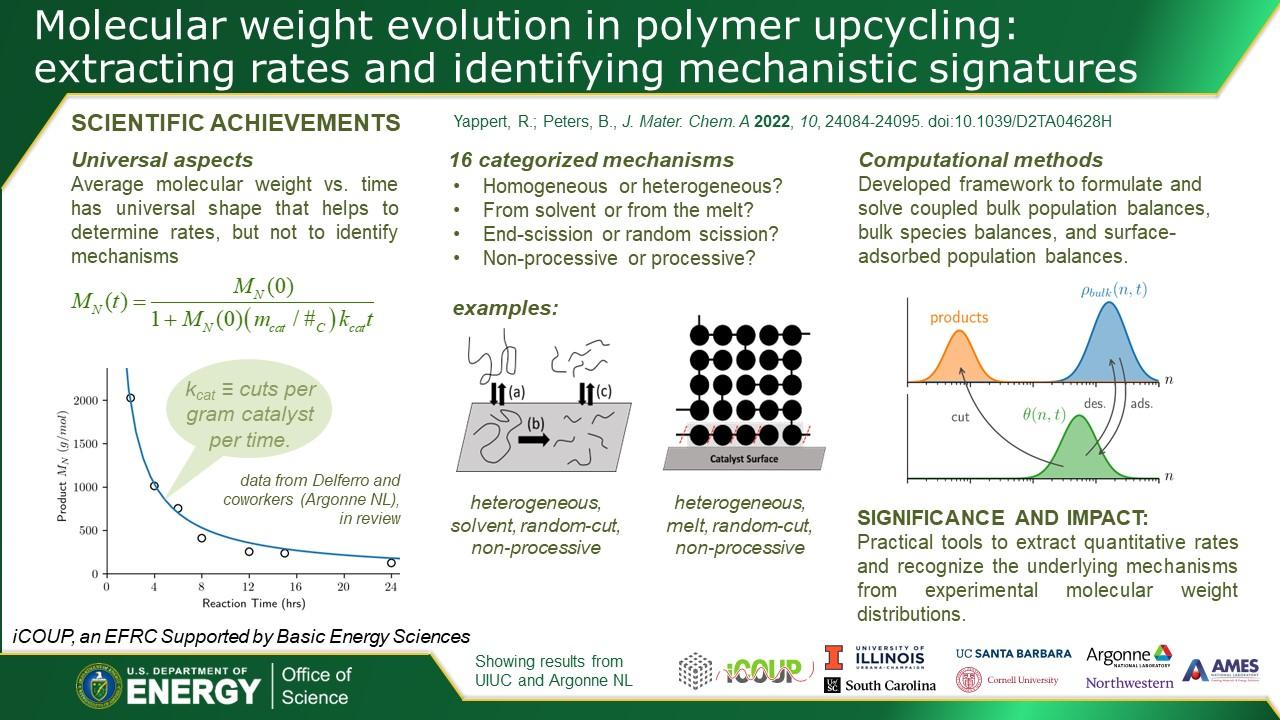 Highlight: Molecular Weight evolution