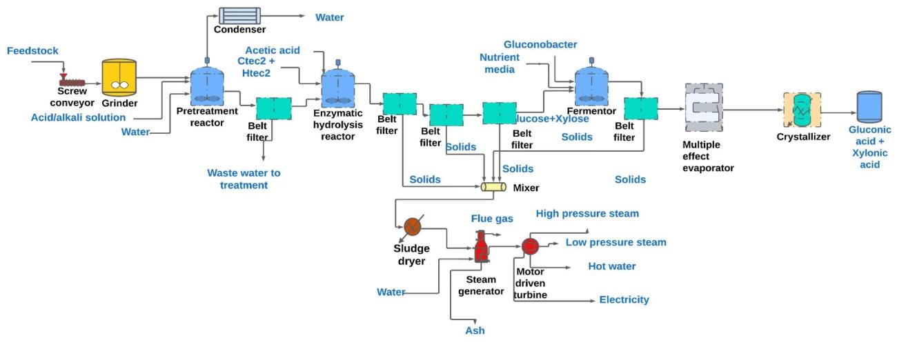 Process flow diagram of organic acid production