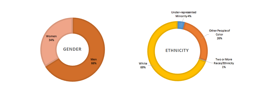 Diversity and demographic charts