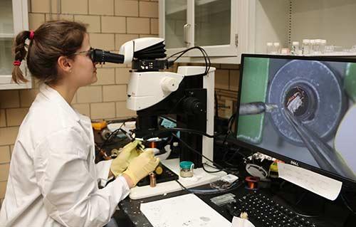 Elena Gati uses a microscope to prepare a material sample
