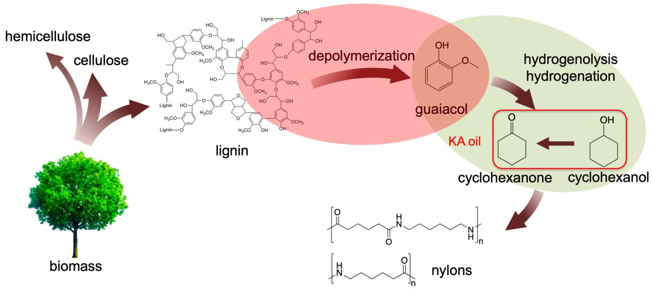 Depiction of kraft lignin conversion