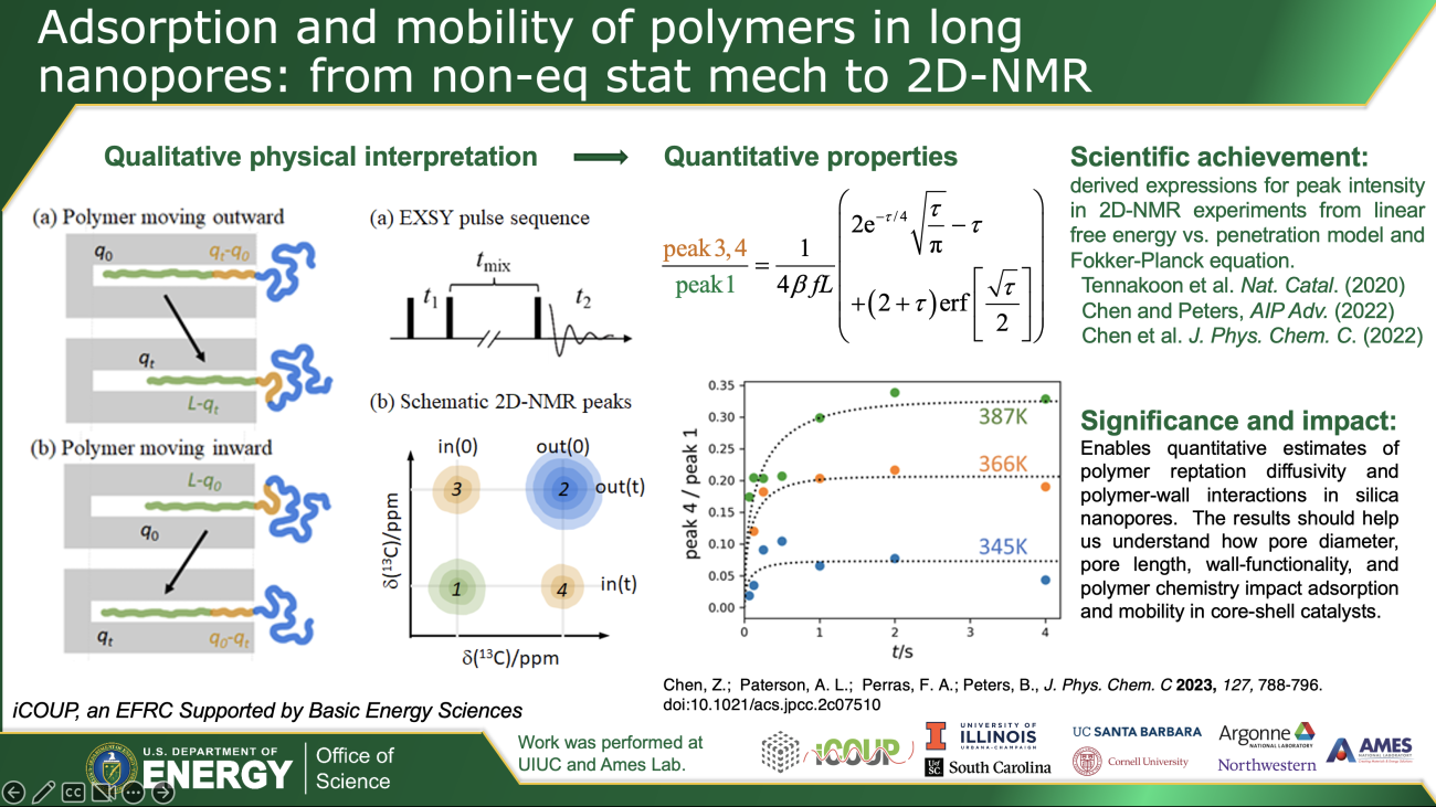 Adsorption and mobility of polymers in longnanopores