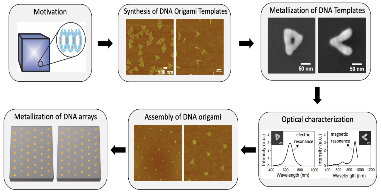 Bioinspired materials graphic