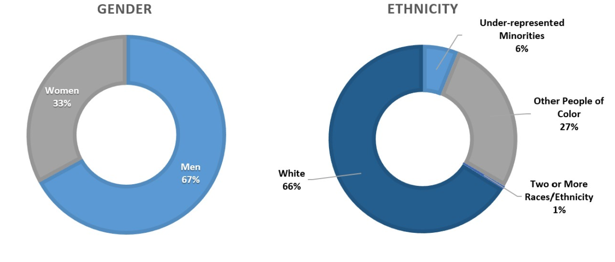 gender and ethnicity charts