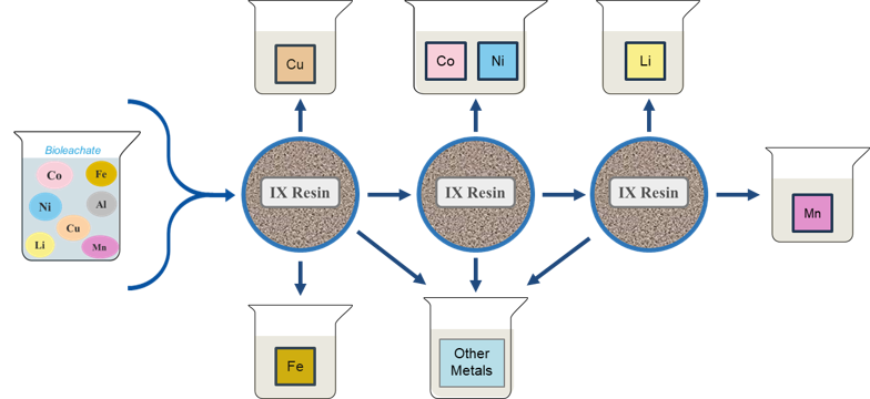 flow diagram shows Figure 1 – Cartoon representing IX resin separation of LIB metals following bioleaching in an electrochemical cell.