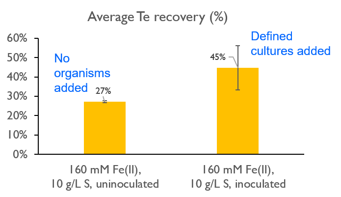 bar graph shows recovery of Te from tailings after two-week incubation. Biotic treatment inoculated with Acidithiobacillus ferrooxidans, Acidithiobacillus thiooxidans, and Leptospirillum ferrooxidans. 