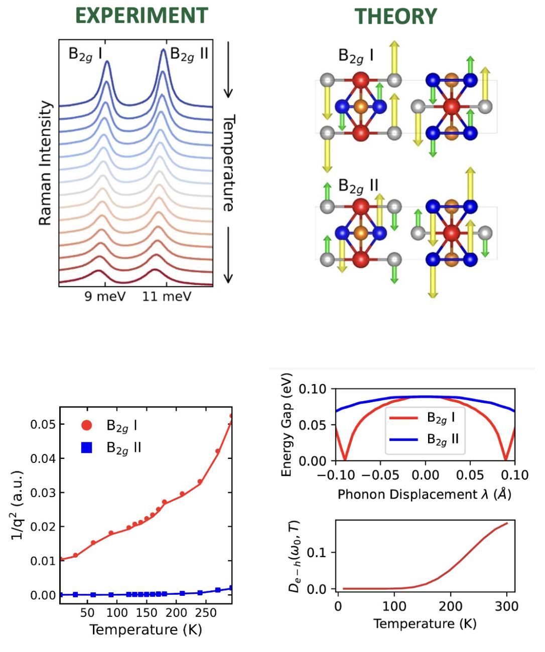 Graphs and figures related to content in highlight.