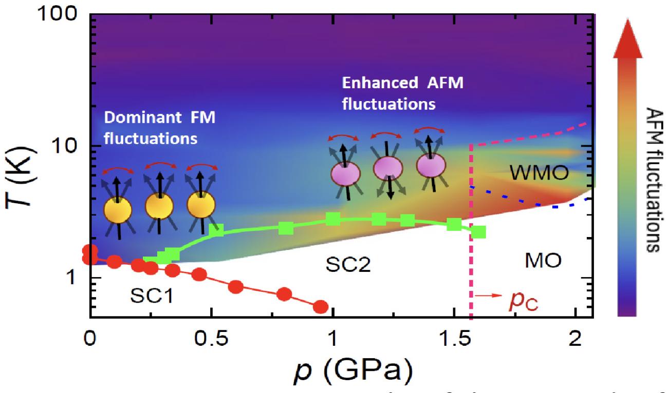 Pressure-Temperature contour plot of the magnitude of anti-ferromagnetic fluctuation under pressure, together with the phase diagram.
