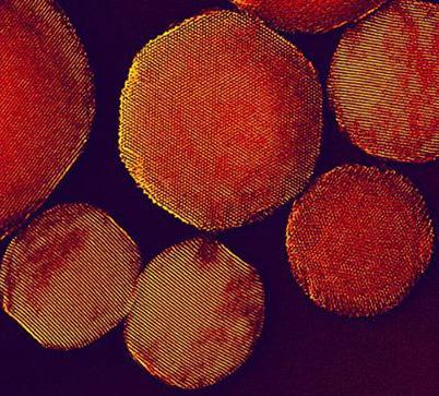 mesoporous nanoparticles
