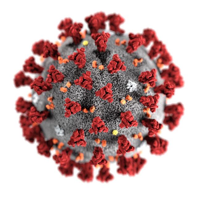 Illustration of Covid-19 virus